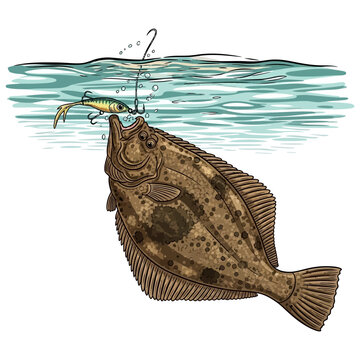 Flounder halibut fish attacking a jig lure underwater illustration for sport fishing theme