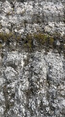 Obraz premium Close-up limestone rock surface with natural cracks and moss texture, rugged geological background for nature and material concepts.