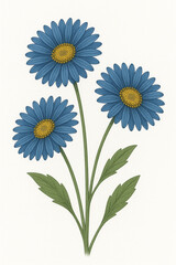 Vector Illustration of Blue Aster Flowers