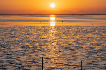 佐賀－【鹿島市から見た有明海の夕景】