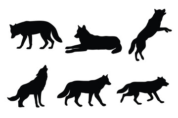 Set of Wild Wolf Silhouettes in Various Dynamic Poses, Running, Howling, and Resting Vector Collection