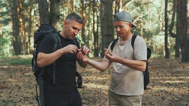 Companions methodically inspect and taste freely gathered native mushrooms outdoors, Amigos methodically investigate and savor freshly collected indigenous mushrooms during outdoor excursions