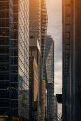 Naklejka premium city street with tall skyscrapers buildings, modern architecture of steel and glass, skyline of big city