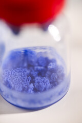 Macro Close up of Lyophilized Copper Peptide Blend in Glass Vial