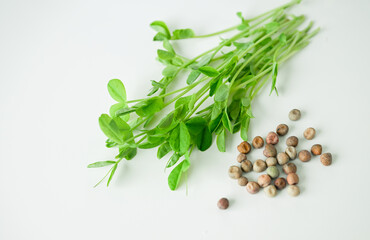 Glass Vial with Liquid Surrounded by Single Use Syringes