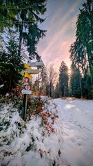 Winterlandschaft am Ochsenkopf im Fichtelgebirge