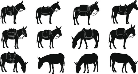 Silhouettes of donkeys with saddles in various standing and grazing poses, illustrating working animals, rural transportation, farm life, and livestock graphics.