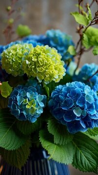 Vibrant blue and green hydrangea blossoms in a decorative vase