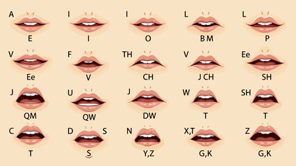 Vector Illustration of Human Mouth Animation Phonemes