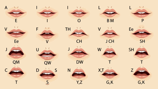 Vector Illustration of Human Mouth Animation Phonemes