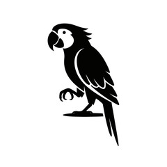 vector illustration of a parrot