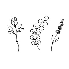 vector illustration of a leaf, botanical line art leaf design, wild flowers line art, boho style plants