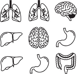 Collection of human organ silhouettes including brain lungs liver stomach and intestines isolated on white background silhouette