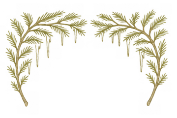 Green palm frond branches forming an arch border on a transparent background, tropical leaves frame