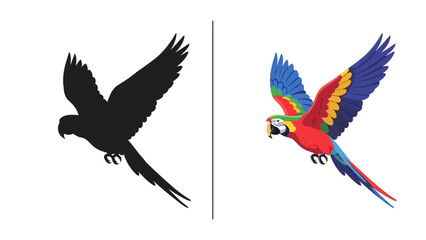 Naklejka premium Flying parrot vector silhouette and colorful macaw bird isolated on white background for exotic animal design