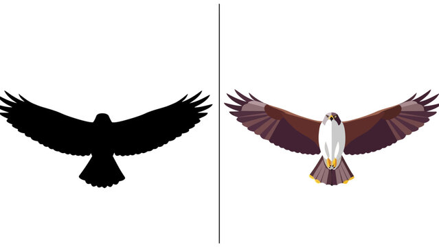Flying eagle vector illustration isolated on white background flat cartoon design bird of prey silhouette with spread wings