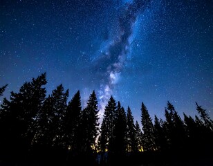Naklejka premium Silhouetted trees under a vibrant Milky Way and star-studded sky
