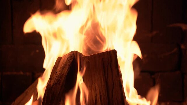 Close-up of a campfire flame