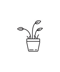 pot with plant icon, vector best line icon.