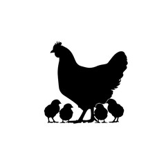 Silhouetted hen and her adorable baby chicks