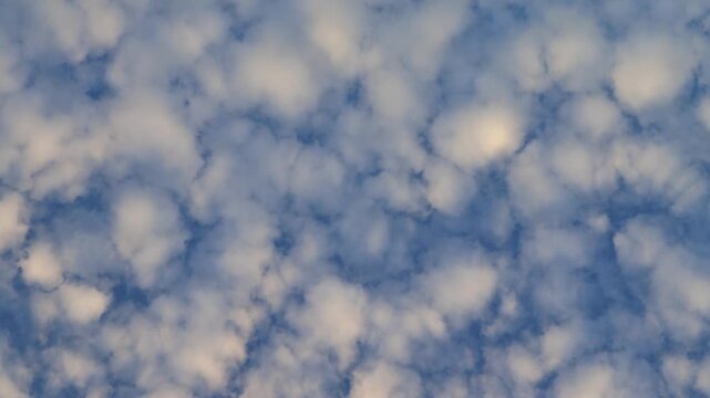white flying altocumulus clouds in the blue sky-timelapse