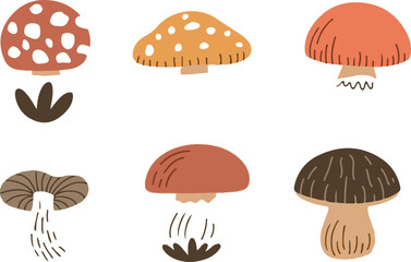 Mushroom set. Fly agaric, chanterelle, honey mushroom, porcini mushroom, brown birch bolete. Mushroom set.Colorful mushroom illustrations with plants.