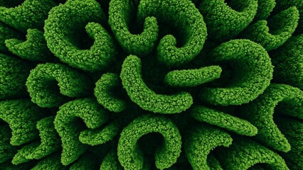 Vibrant green textured macro intricate organic swirls and patterns.