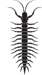 Obraz premium Black and white centipede illustration isolated on transparent background