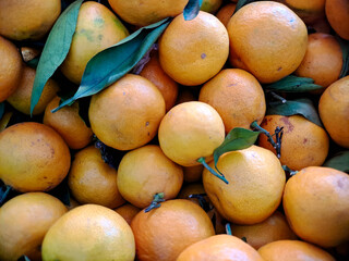 ripe loquats with leaves, ideal for food blogs, health products, or agricultural content.