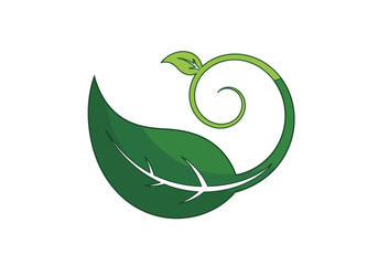 Green leaf partially curled into a stylized swirl design on white background