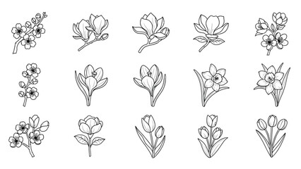 Collection of beautiful black and white line art drawings featuring various spring blooming flowers like tulips and daffodils