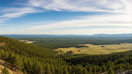 Green Landscape and Open Nature Horizon