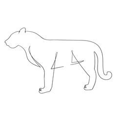 Continuous one line drawing tiger walking symbol Tiger one line drawing isolated on white background. Wild animal tiger is walking in the jungle