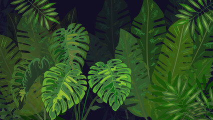 fern leaf in the forest, night vision