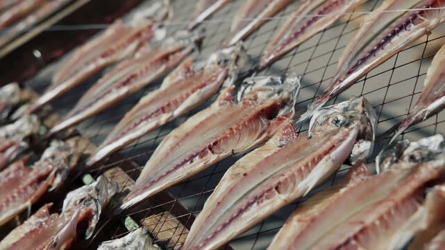 Dried horse mackerel