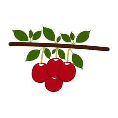 Vector multi color icons for Cherry