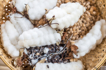 Dry cotton flower in bamboo basket, white cotton flower, material for cotton threads, natural product