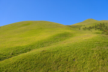大分県の由布岳、草原が広がる飯盛ヶ城
