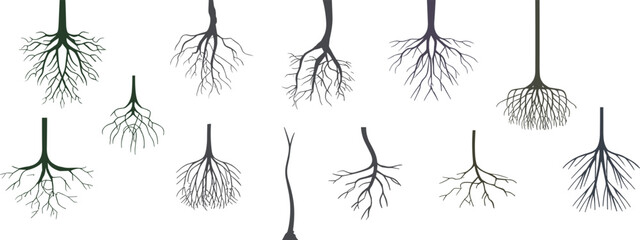 Seamless pattern of stylized tree root silhouettes in black and gray, creating an elegant, organic background for nature-themed designs.