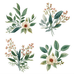 Watercolor Floral Arrangements Set with Green Leaves and Delicate Pink and White Flowers on White Background