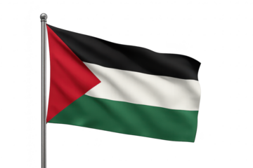Waving Palestine flag illustration on transparent background image.