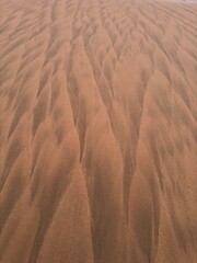 ripples in the sand