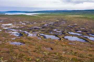 Top view of a large swamp in the Arctic on the border between Russia and Norway
