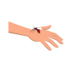 Mosquito Bite