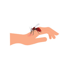 Mosquito Bite