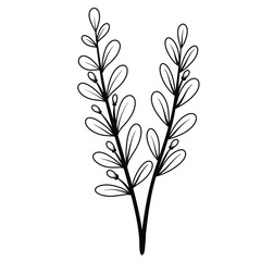 Flower black line art.
