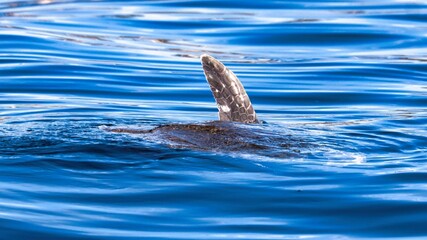 Obraz premium Cabo San Lucas, Mexico