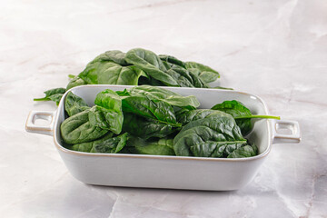 Raw green baby spinach plant