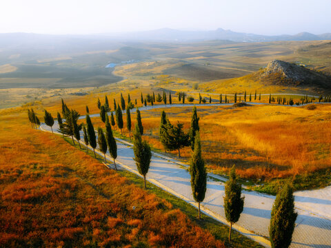 A winding road lined with cypress trees crossing autumn hills in Dedoplistskaro, Kakheti region, Georgia