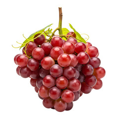 Fototapeta premium Bunch of Fresh Red Seedless Grapes with Green Stem isolated on a transparent background